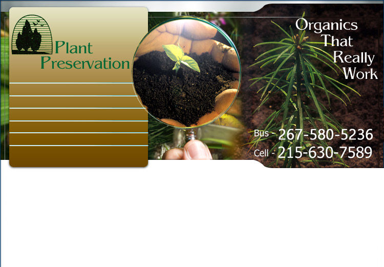 Services we provide: arborist, natural tree fertilization, tree insect control, child safe fertilizer programs, tree health, tree problems, tree maintenance, integrated pest management, organic tree fertilizers, pet safe fertilizer programs